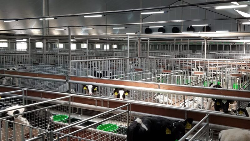 拼多多运营团队绩效考核：标准与最佳实践解析